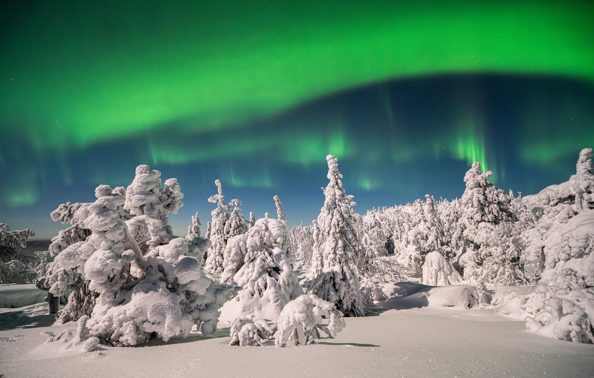Night's Dance: Aurora Borealis over Iso-Syöte, Finland, Lapland region, in winter season.