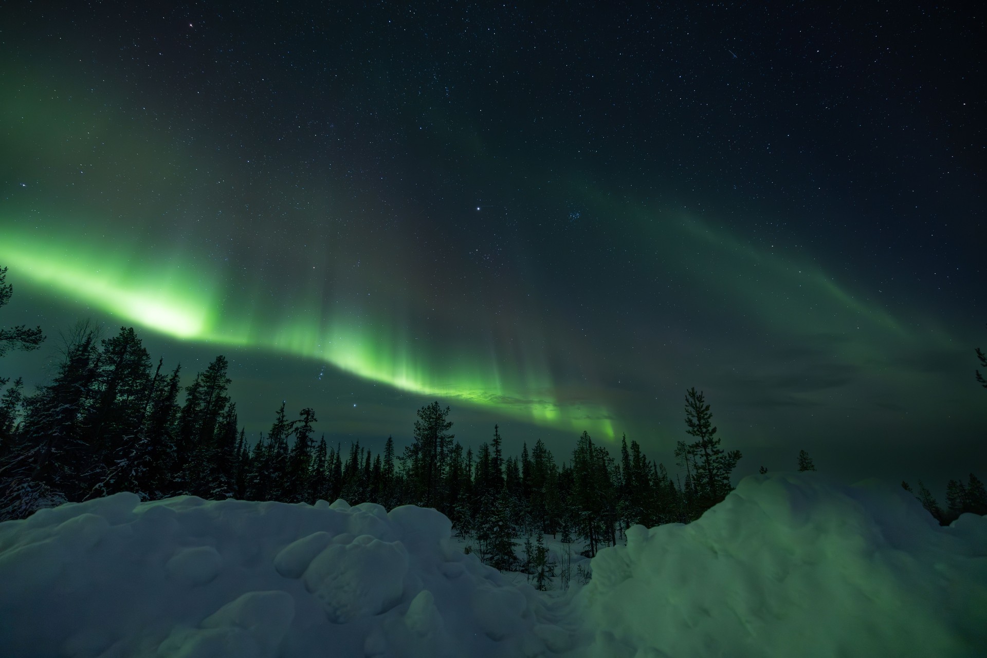 A stunning, aqua green display of northern lights seen in winter time, snowy season with snow covered trees and landscape in north Canada during Aurora Borealis viewing along the Alaska Highway